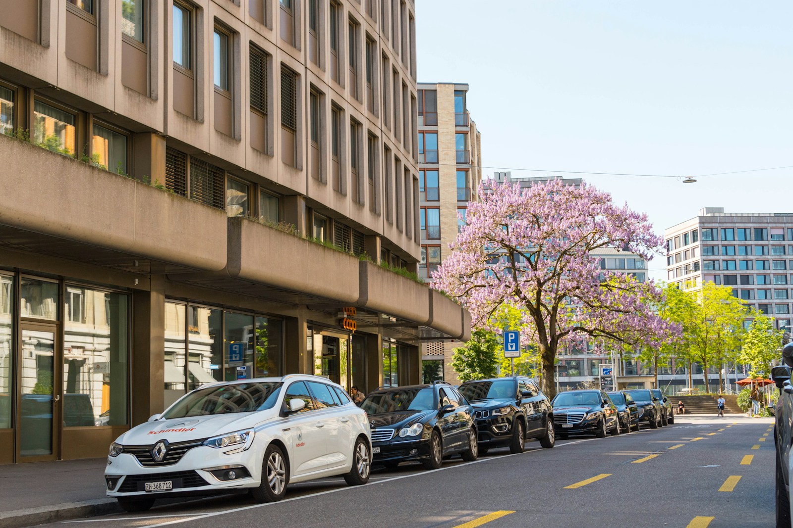 Spring Break Road Trips: Essential Auto Insurance Tips for Safe Travels